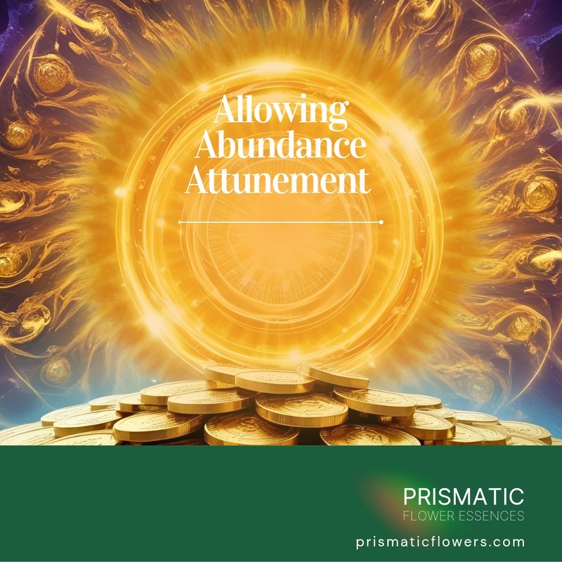Allowing Abundance Attunement