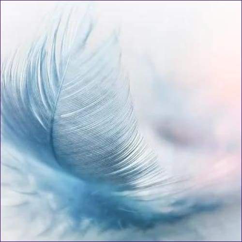 Feathers Of An Angel - Prismatic Flower Essences