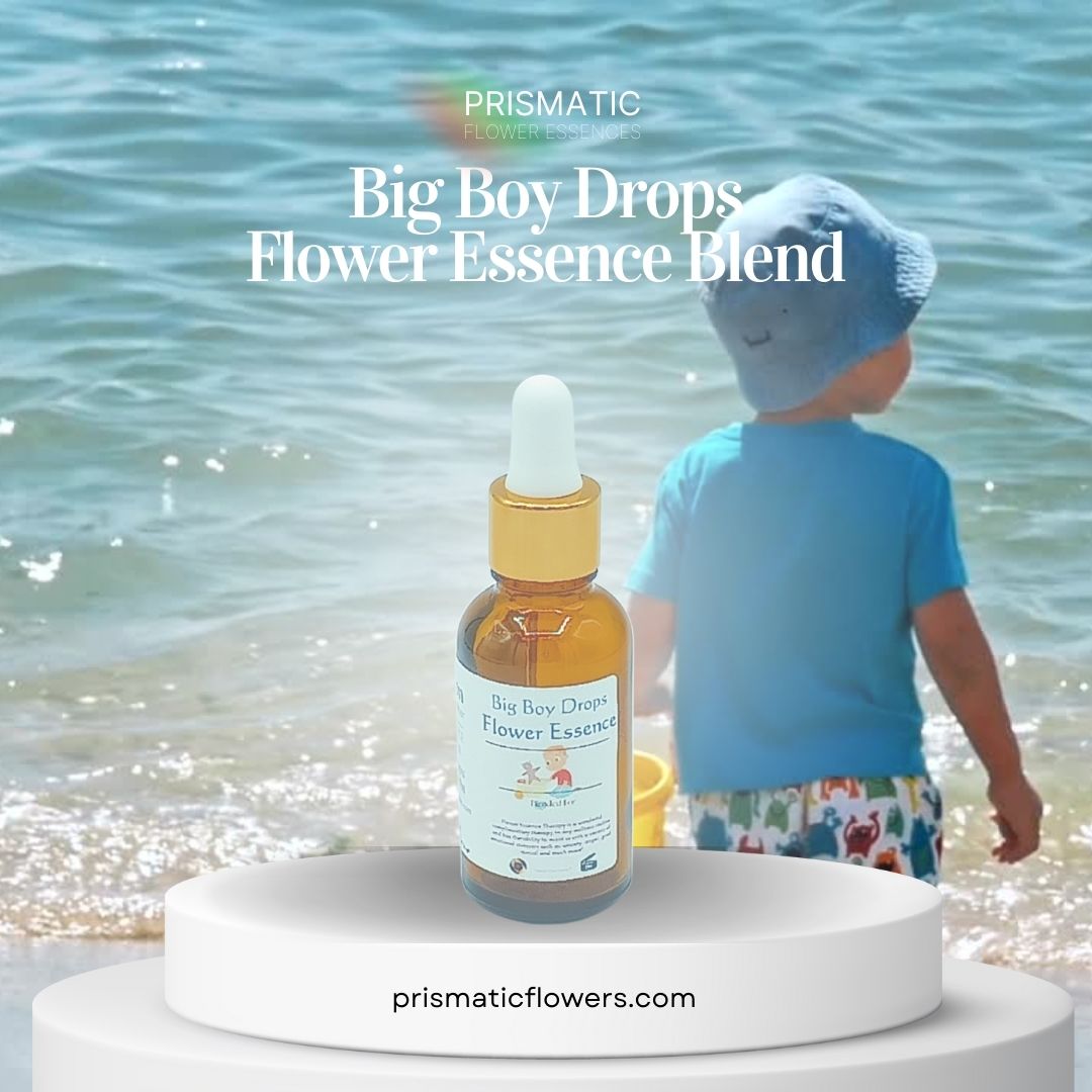 Big Boy Drops Flower Essence Blend (1 oz.)