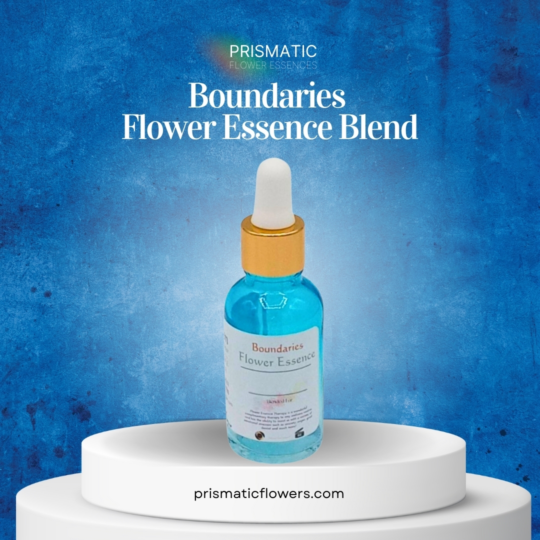 Boundaries Flower Essence Blend (1 oz.)