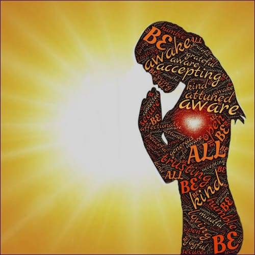Light Bodies Chakras Enlightenment Reiki 1-12 package - Prismatic Flower Essences