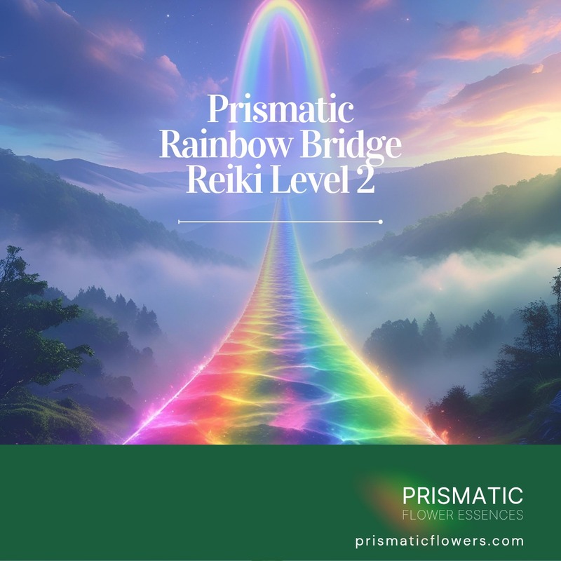 Divine Harmony Reiki - Level 2