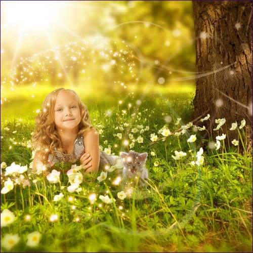 Empathy Negative Attachment Protection Reiki - Prismatic Flower Essences