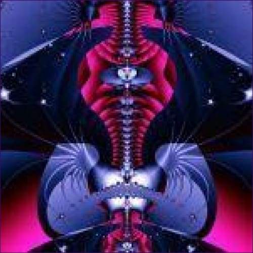 Etheric Cord Flush Reiki - Prismatic Flower Essences
