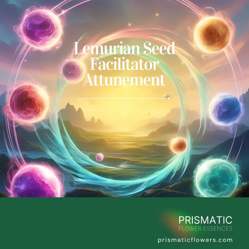 Lemurian Seed Facilitator Attunement