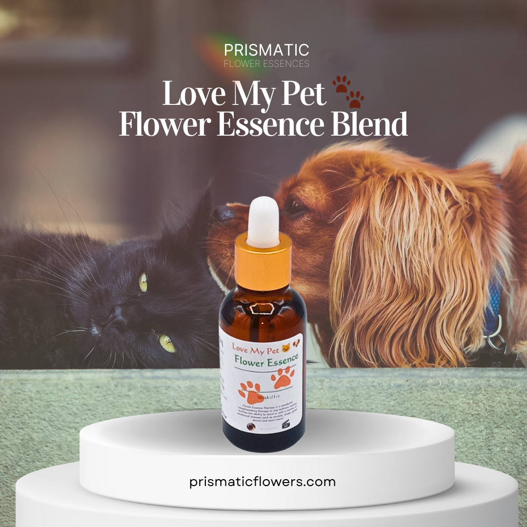 Love My Pet Flower Essence Blend (1 oz.)