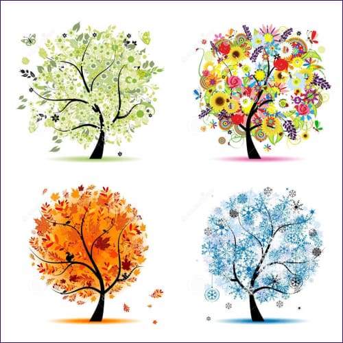 Magick of the Four Seasons Lightwork Reiki - Prismatic Flower Essences