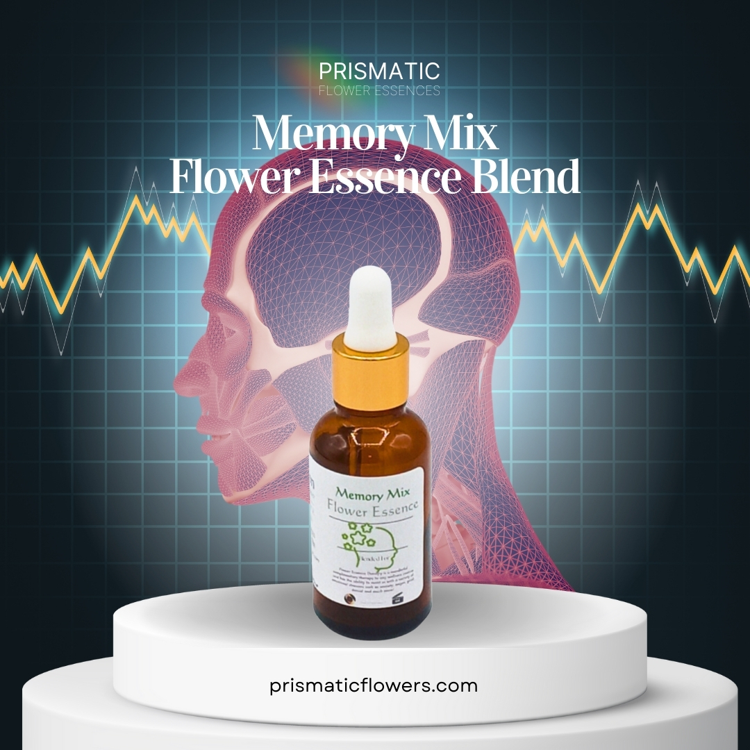 Memory Mix Flower Essence Blend (1 oz.)