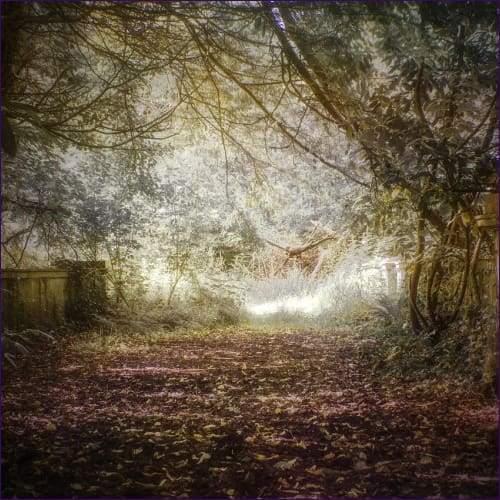 Moving Forward On Your Path Manifestation Reiki - Prismatic Flower Essences