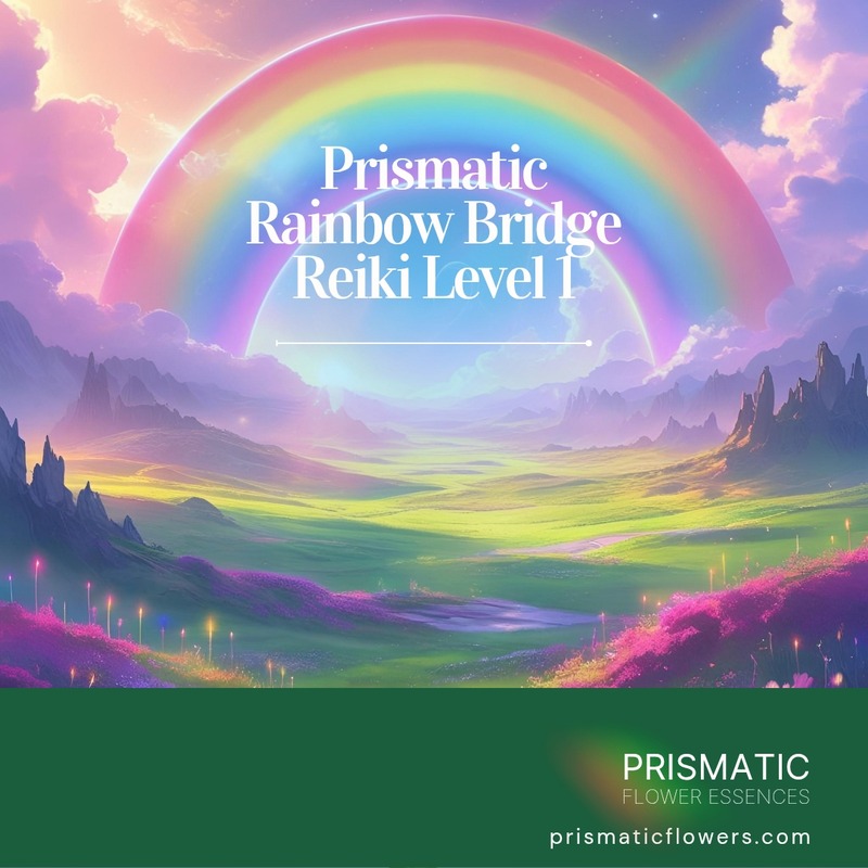 Prismatic Rainbow Bridge Reiki Level 1