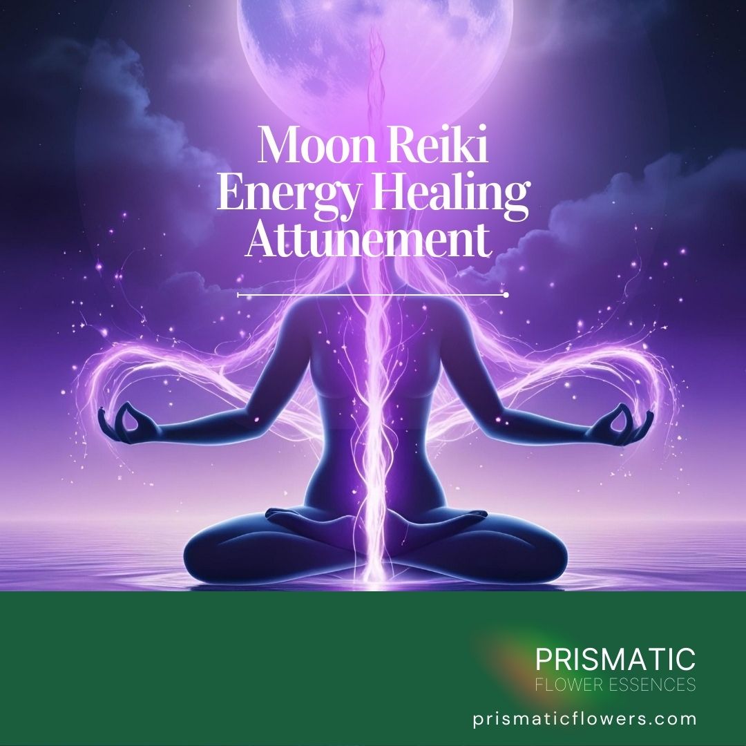 Psychic Gifts Flush Empowerment Reiki - Prismatic Flower Essences