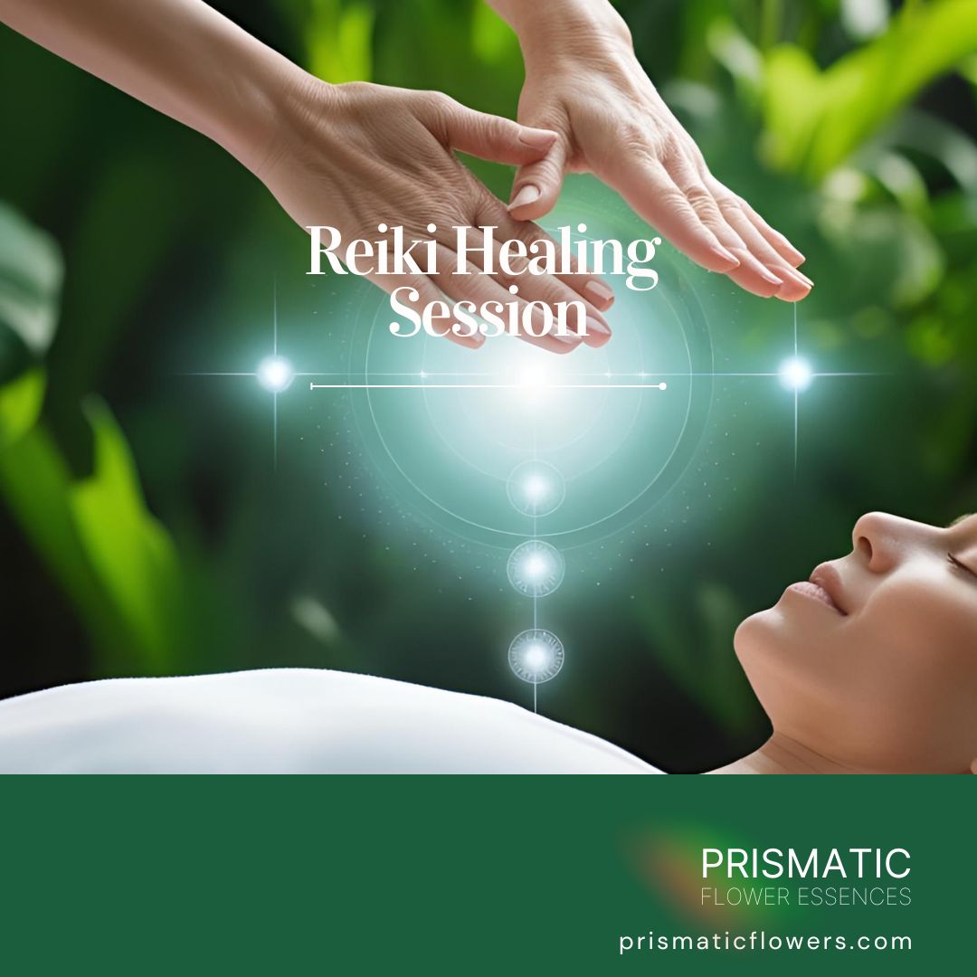 Spiritual Transmutation and Purification Activation Reiki - Prismatic Flower Essences