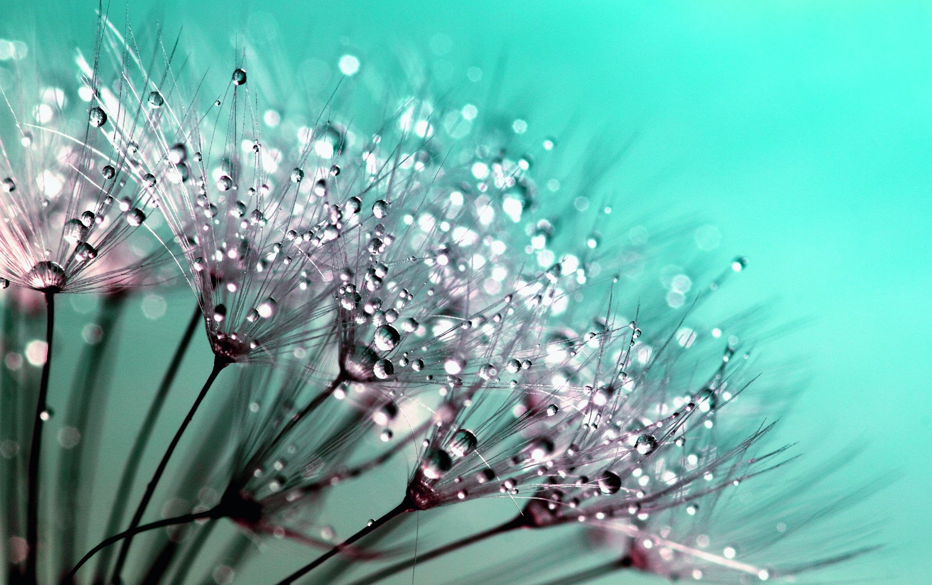 Usui Reiki Level 1 Certification Course: Distance Attunement & Complete Training