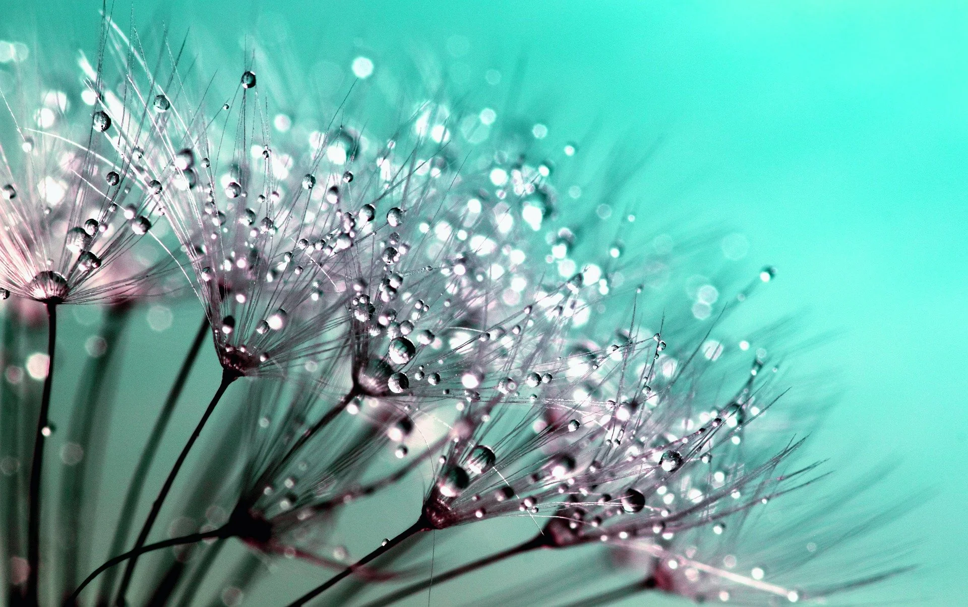 Usui Reiki Level 1 Certification Course: Distance Attunement & Complete Training