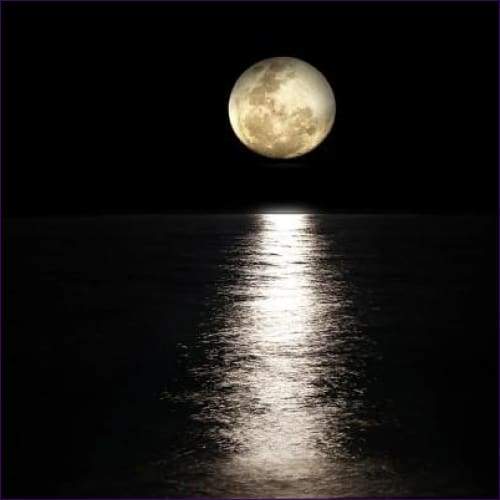 Full Moon Release Empowerment - Prismatic Flower Essences