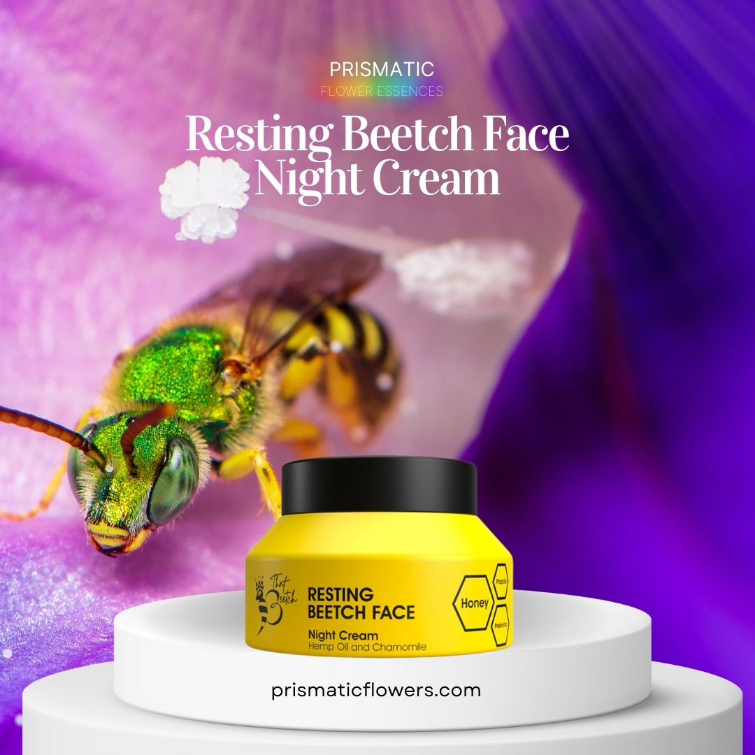 Resting Beetch Face Night Cream By That Beetch Skincare