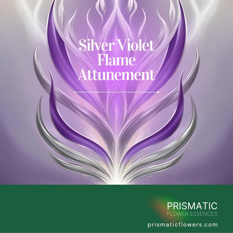 Silver Violet Flame Attunement