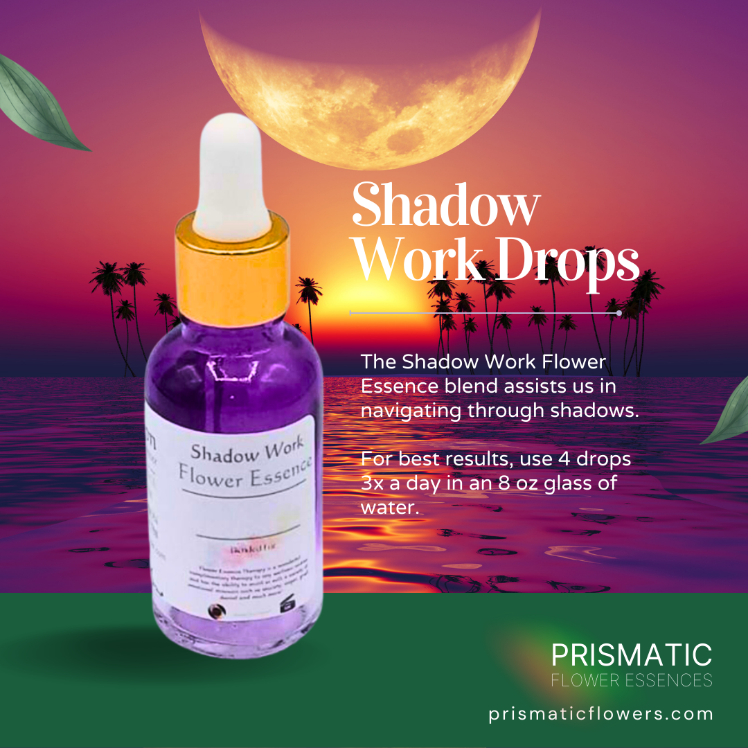 Shadow Work Drops (1 oz.)