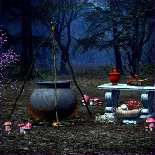 Witchy Kit Reiki Master - 10 Attunements - Prismatic Flower Essences